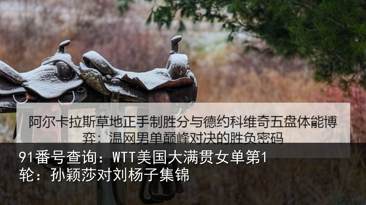 91番号查询：WTT美国相关情况颖莎对刘杨子集锦